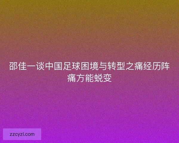 邵佳一谈中国足球困境与转型之痛经历阵痛方能蜕变